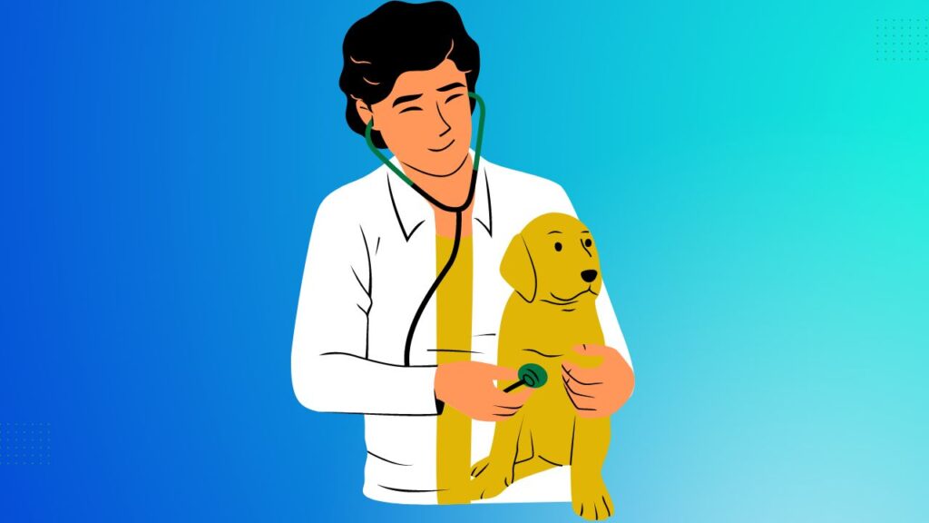 Affordable Veterinary Care Options